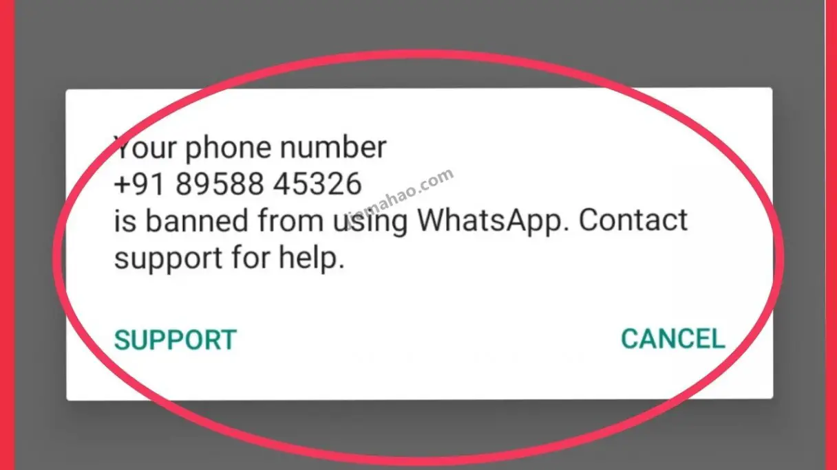 whatsApp永久封锁账户