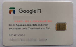 Google Fi纯数据卡(副卡)：